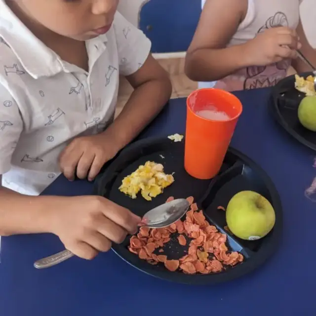 Programa de desayunos saludables