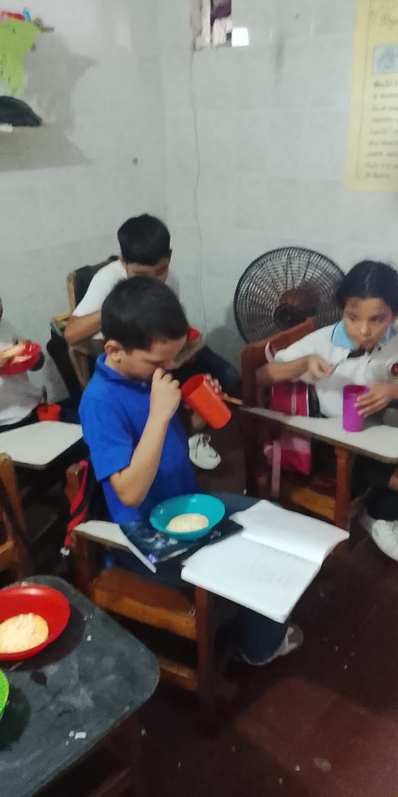 Actividades educativas